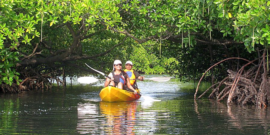 kayaking in havelock island andaman