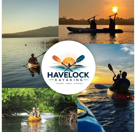 Eco-friendly kayaking through mangroves in Havelock Island, Andaman